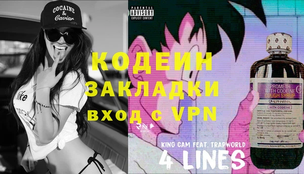 ГАЛЛЮЦИНОГЕННЫЕ ГРИБЫ Абаза