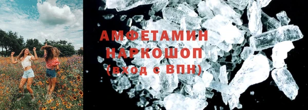 ГАЛЛЮЦИНОГЕННЫЕ ГРИБЫ Абаза